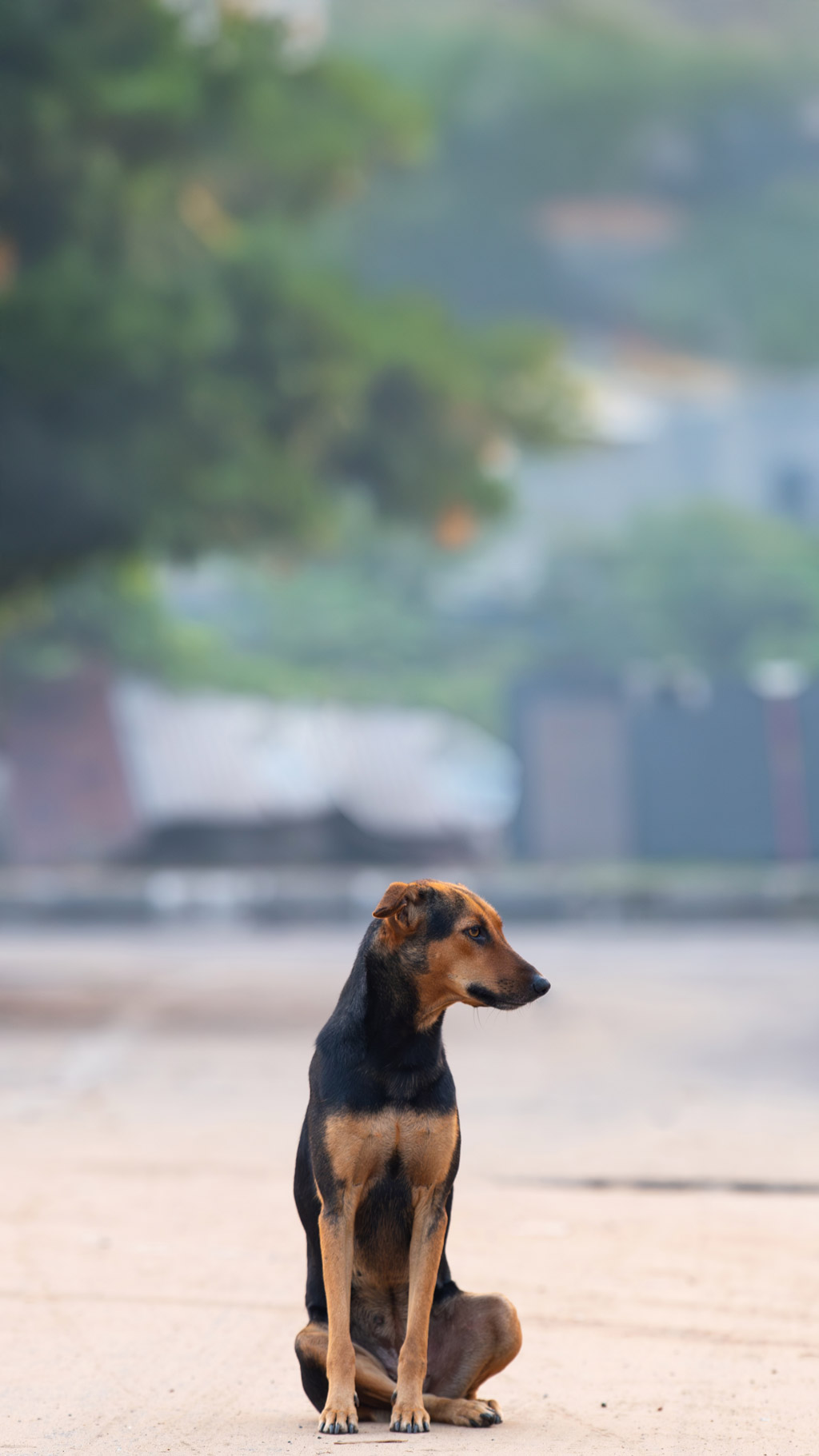 img Segnala. Partecipa. Migliora. small